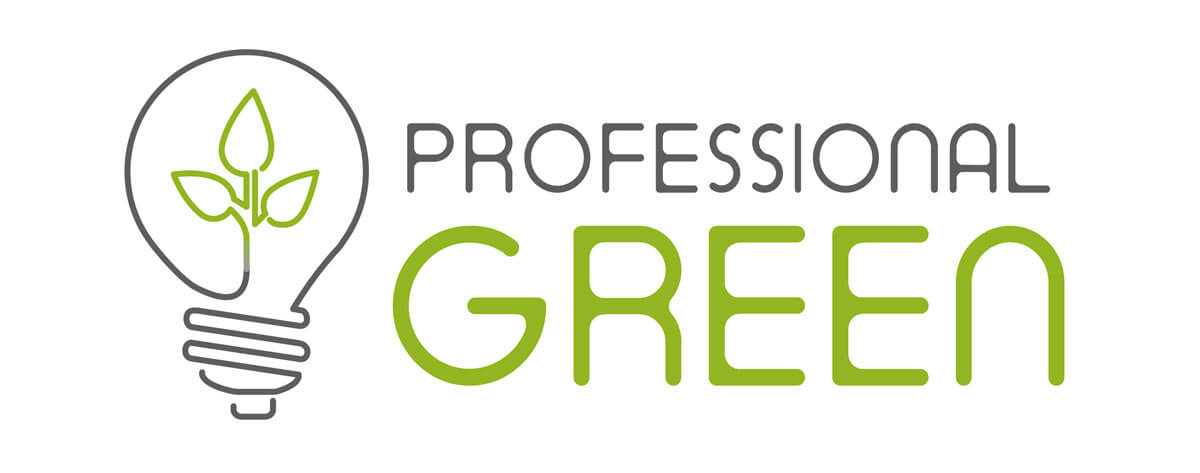 Profesional Green Logo